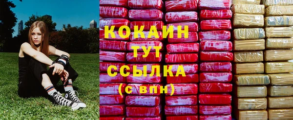 сатива Ленинск