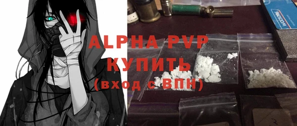 сатива Горняк