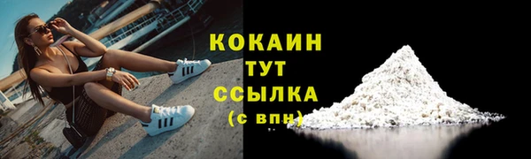крисы Магадан