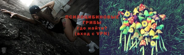мет Липки