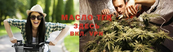 сатива Ленинск