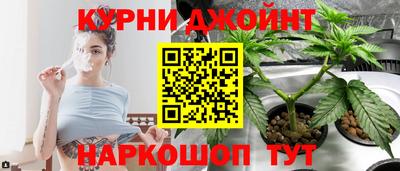 гашик Гатчина