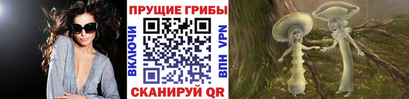 Галлюциногенные грибы MAGIC MUSHROOMS Моршанск