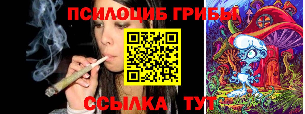 Псилоцибиновые грибы Cubensis  Галлюциногенные грибы Psilocybine cubensis  Моршанск 