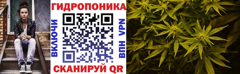 Конопля ГИДРОПОН  где купить наркоту  Моршанск 